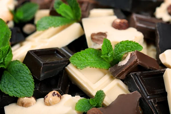 Pozostawia kawałki czekolady z miętą — Zdjęcie stockowe