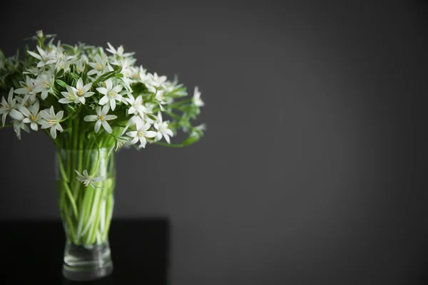 Little white flowers — Stock Photo, Image