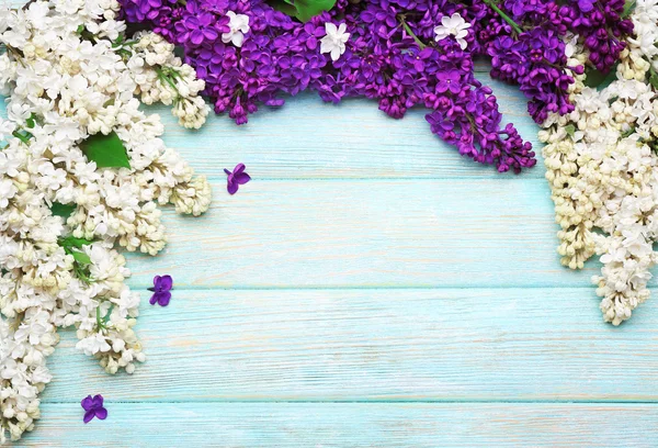 Fresh lilac on background — Stock Photo, Image