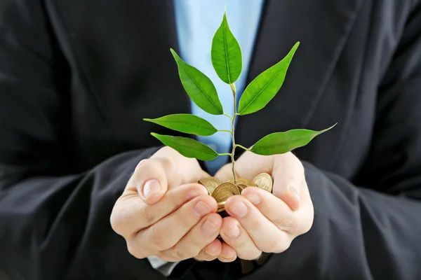 Hands holding plant sprouting — Stock Photo, Image