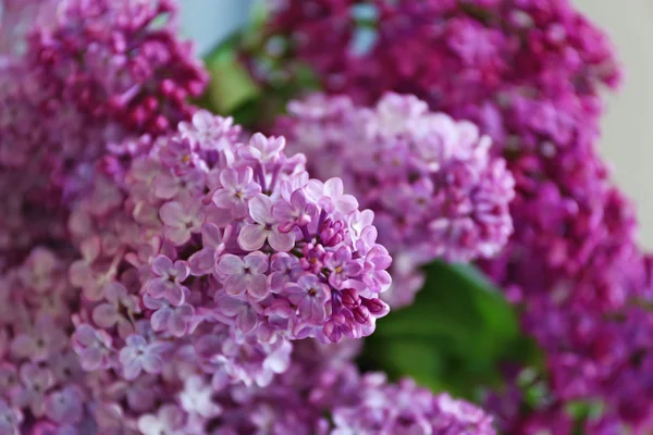 Boeket van voorjaar lila bloemen — Stockfoto