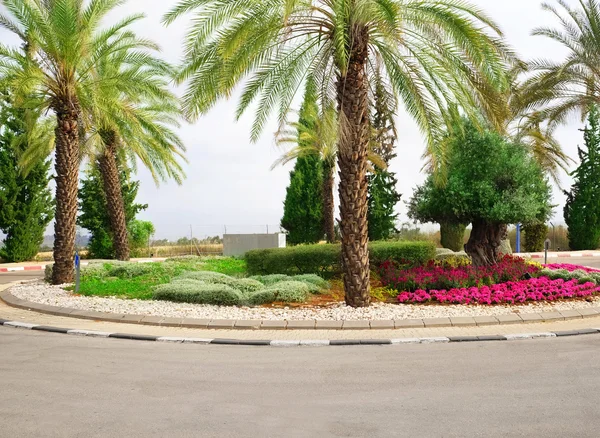 Flowerbed of a city square — Stock Photo, Image