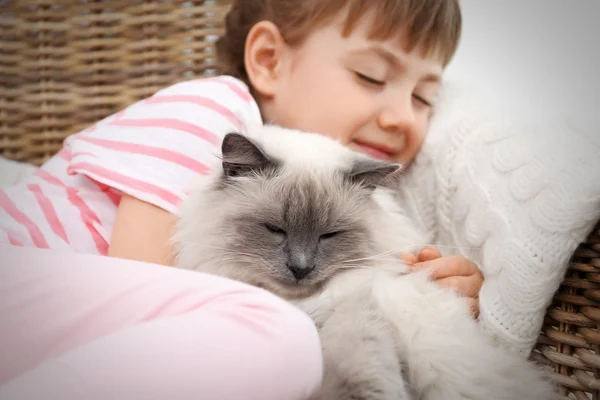 Menina e Gato — Fotografia de Stock