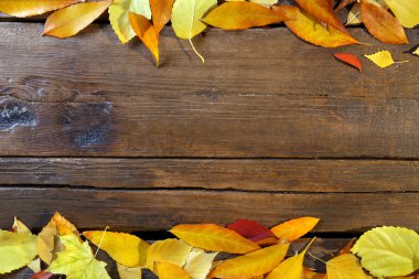 Arka plan üzerinde sonbahar yaprakları