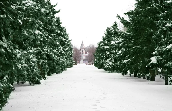 Hermoso callejón de invierno — Foto de Stock