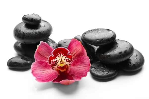 Piedras de spa y orquídea roja — Foto de Stock