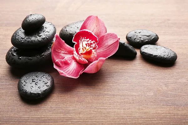 Piedras y orquídea roja sobre fondo —  Fotos de Stock