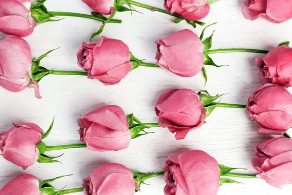 Krásné růžové růže — Stock fotografie