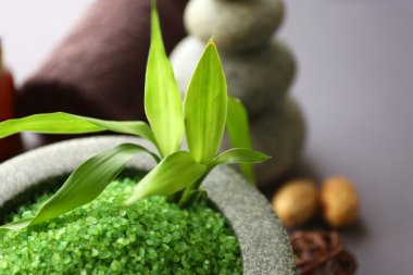 kaplıca tedavisi güzel kompozisyon