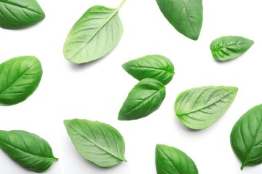 taze fesleğen yaprağı