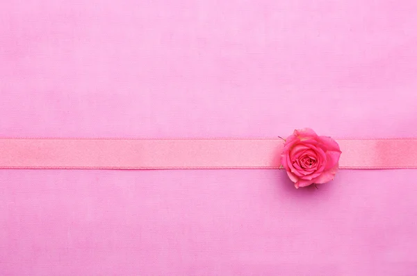 Роза с лентой на розовом — стоковое фото