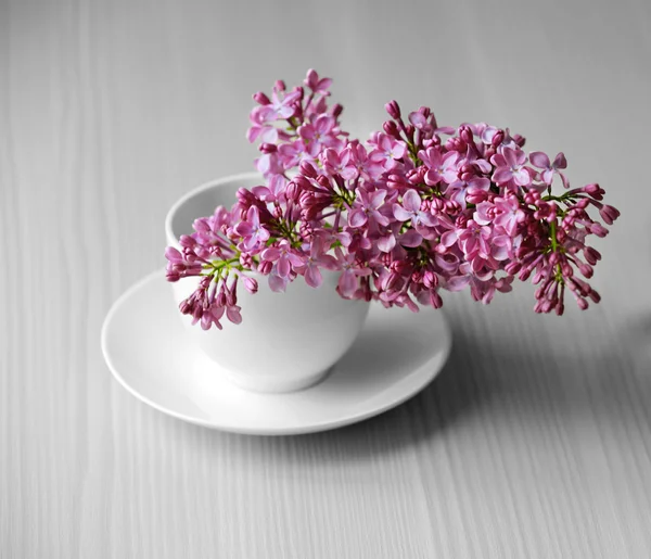 Purple lilac flowers — Stock Photo, Image