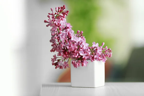 Purple lilac flowers — Stock Photo, Image