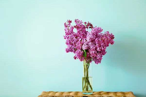 Paarse lila bloemen — Stockfoto