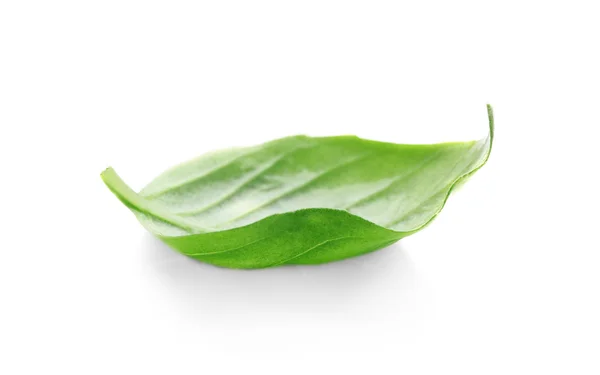 Fresh Basil leaf — Stock Photo, Image