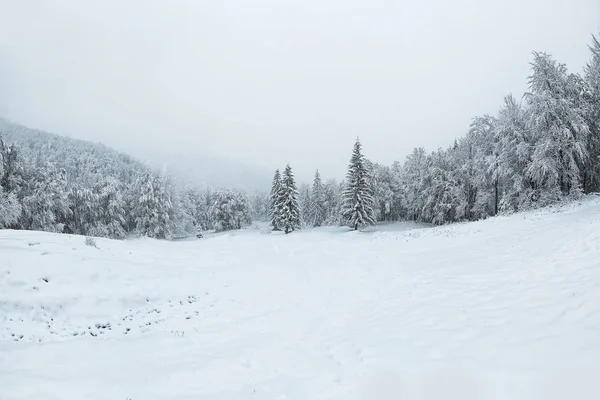 Hermoso paisaje de invierno — Foto de Stock