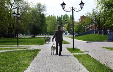 Parkta master ile oynayan köpek