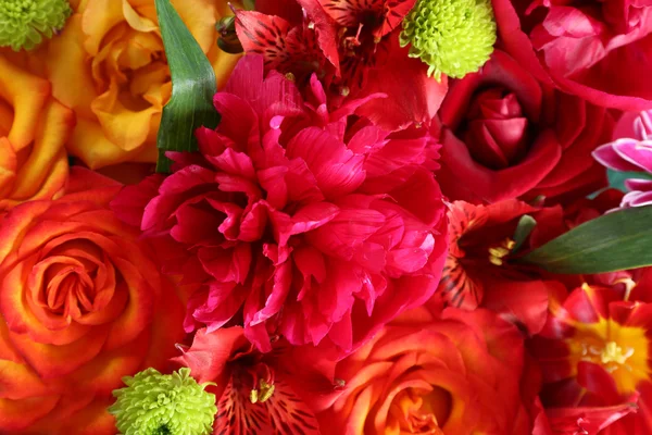 Kleurrijke bloemen achtergrond — Stockfoto