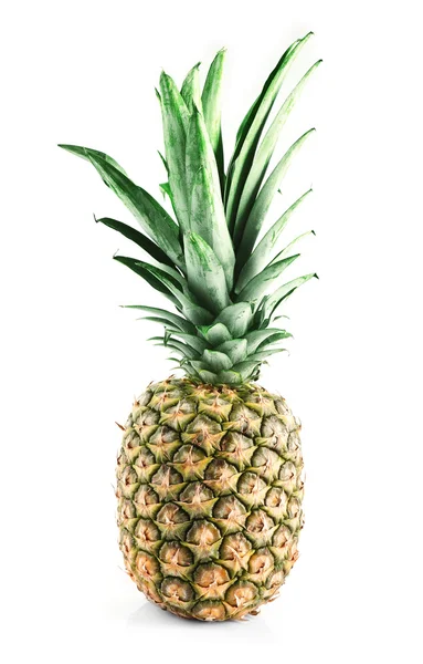 Verse rijpe ananas — Stockfoto