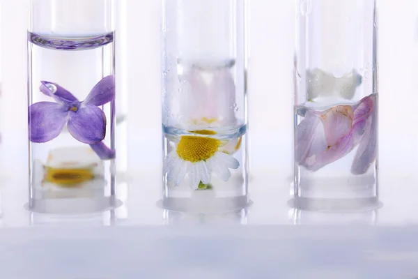 Proces van het maken van parfums — Stockfoto