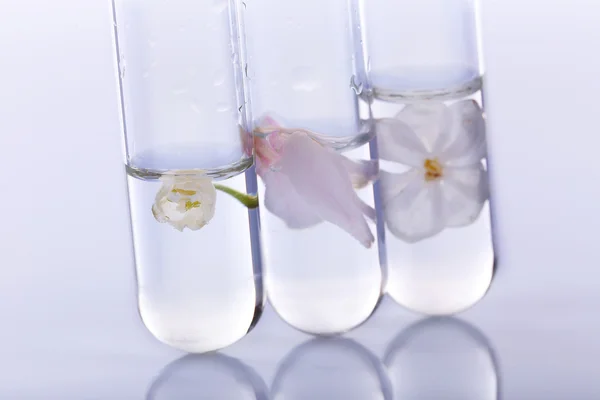 Process of making perfumes — Stock Photo, Image