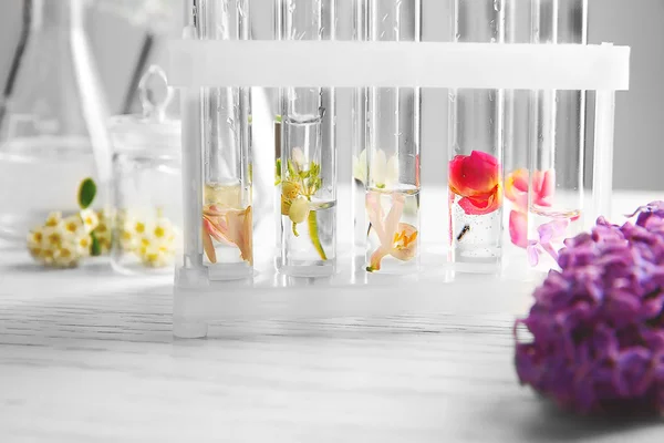 Proceso de elaboración de perfumes — Foto de Stock