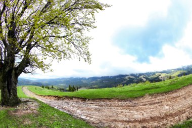 dağ orman yolu