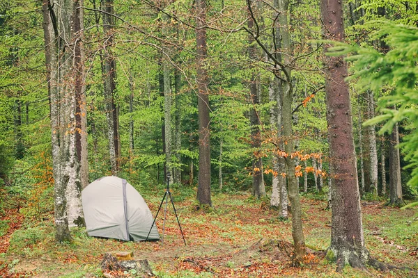 Tenda nella foresta di montagna — Foto Stock