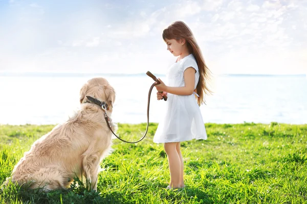 Küçük kız ve büyük tür köpek — Stok fotoğraf