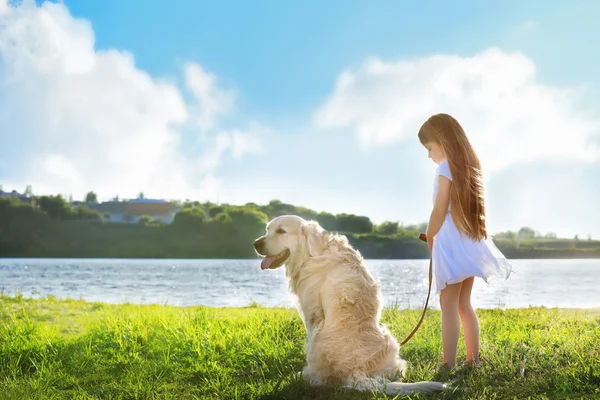 Küçük kız ve büyük tür köpek — Stok fotoğraf