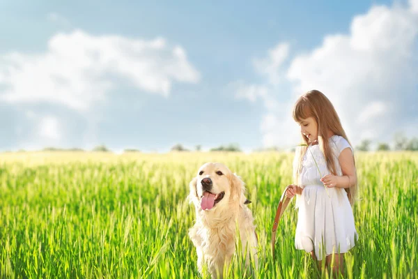 小さな女の子と大きな種類犬 — ストック写真