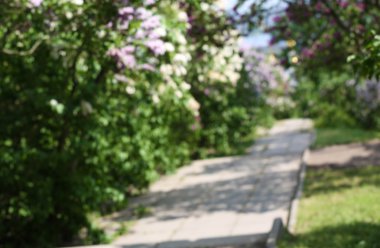 Patika Botanik Bahçesi içinde