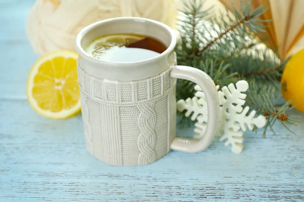 Schöne Winterkomposition — Stockfoto