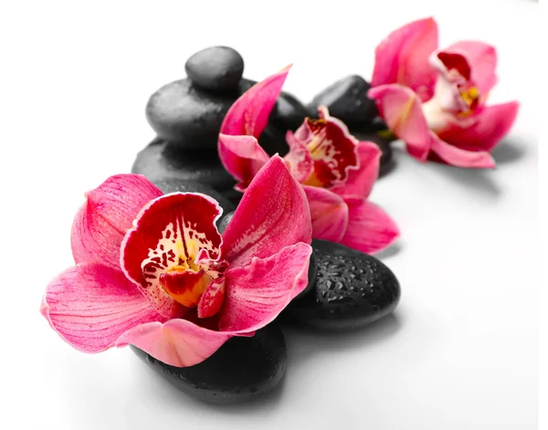 Spa kövek és piros orchideák — Stock Fotó