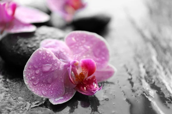 Spa stones and orchids — Stock Photo, Image