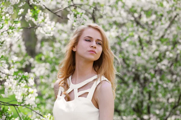 Woman on blooming tree background — Stock Photo, Image