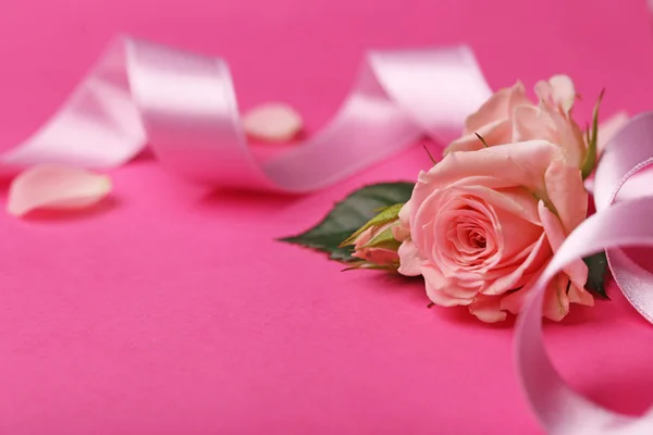 Čerstvé růže s mašlí — Stock fotografie
