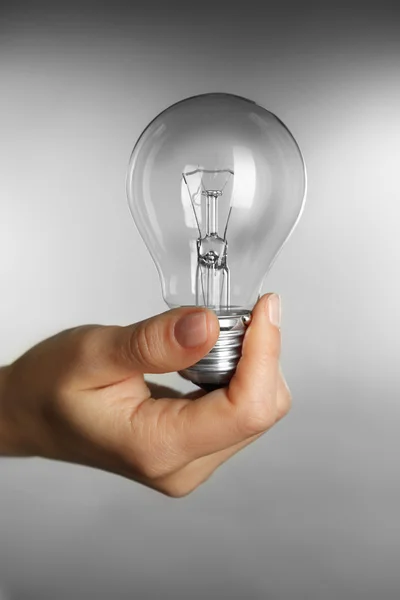 Woman hand holding bulb — Stock Photo, Image