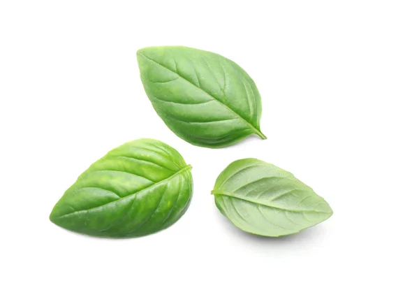 Fresh Basil leaves — Stock Photo, Image