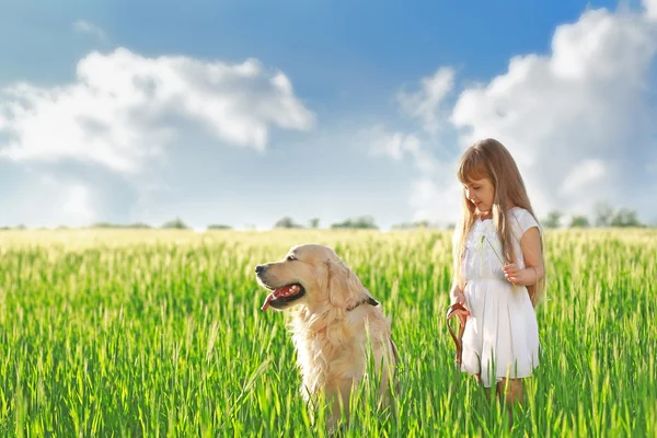Mała dziewczynka i duży pies miły — Zdjęcie stockowe
