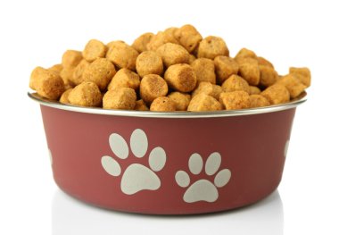 köpek maması kase 