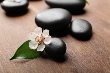 Yığın spa sıcak taş ve çiçek