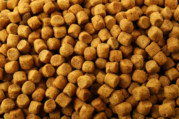 Dog food background — Stock Photo, Image