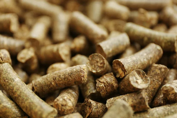 Pellet di legno massiccio — Foto Stock