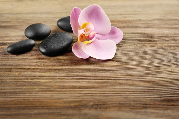 Spa stenen en orchideebloemen — Stockfoto