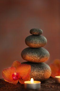 Güzel spa kompozisyonu