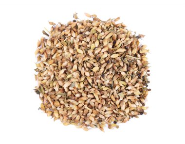 Kurutulmuş utsho suneli izole 