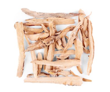 Hint kamışı (Acorus Hint kamışı)  