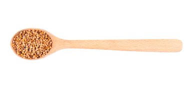Kaşığı hardal tohumu