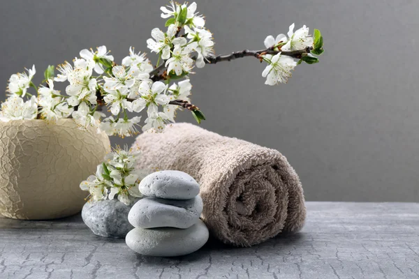 Spa-behandling med blommande gren — Stockfoto